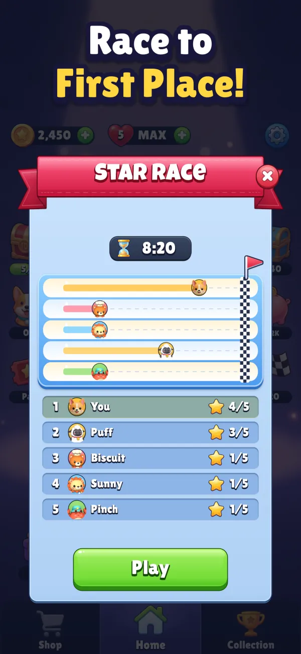Race to First Place! You lead the Star Race against four rivals